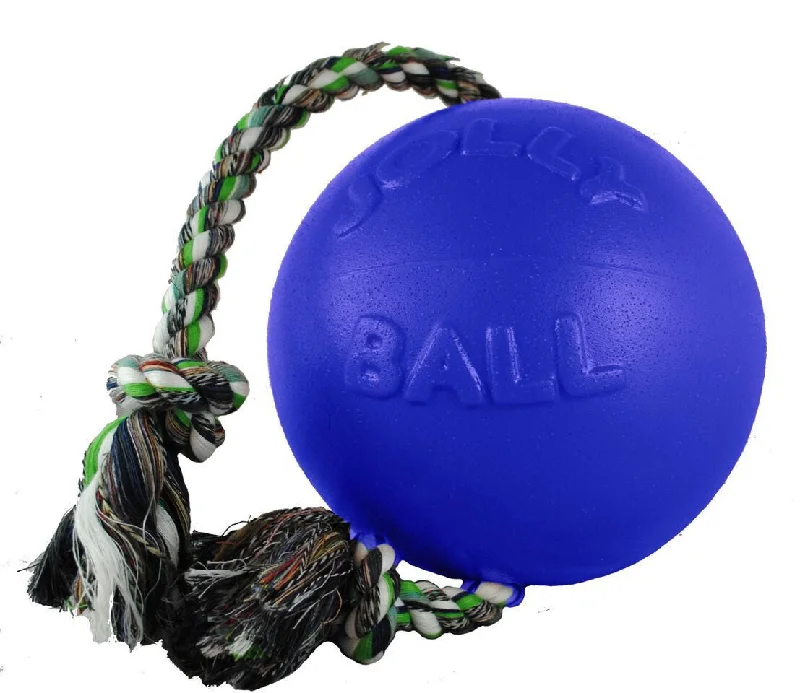 - Hamster toy recommendationsBlue Romp And Roll Dog Toy With Rope 6 Inch