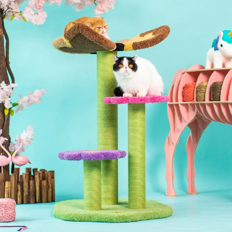 - Hamster silent running wheel to prevent chewingCamily "Butterfly" Climbing Cat Tree