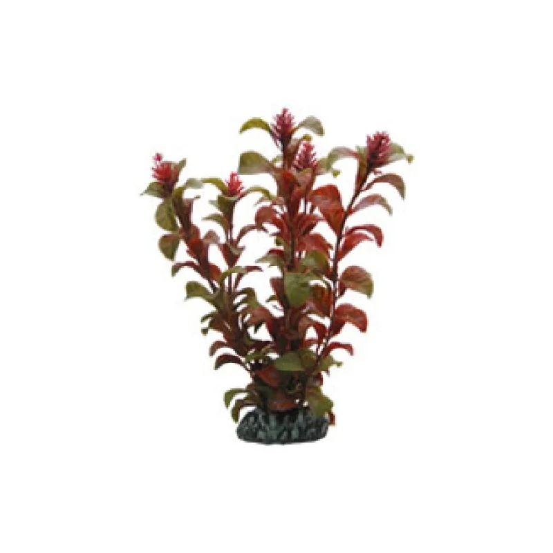 - Foldable and portable cat bagArtificial plant - Rotala (16cm)