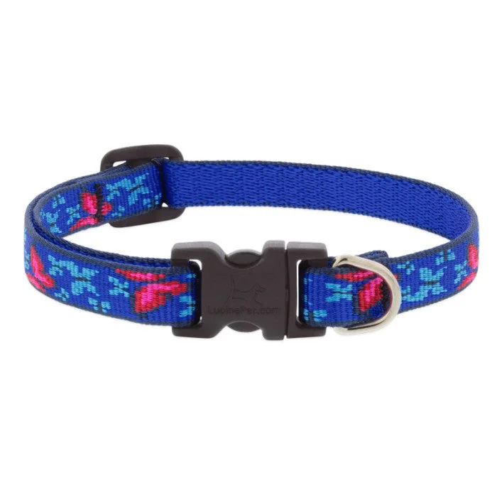 - Custom pet birthday cakeLupine 12-20", 1" width Dog Collar - Social Butterfly