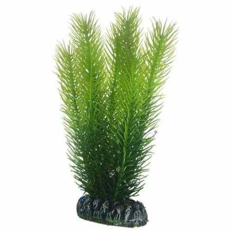 - Climbing pet constant temperature heating padArtificial plant - Mayaca medium