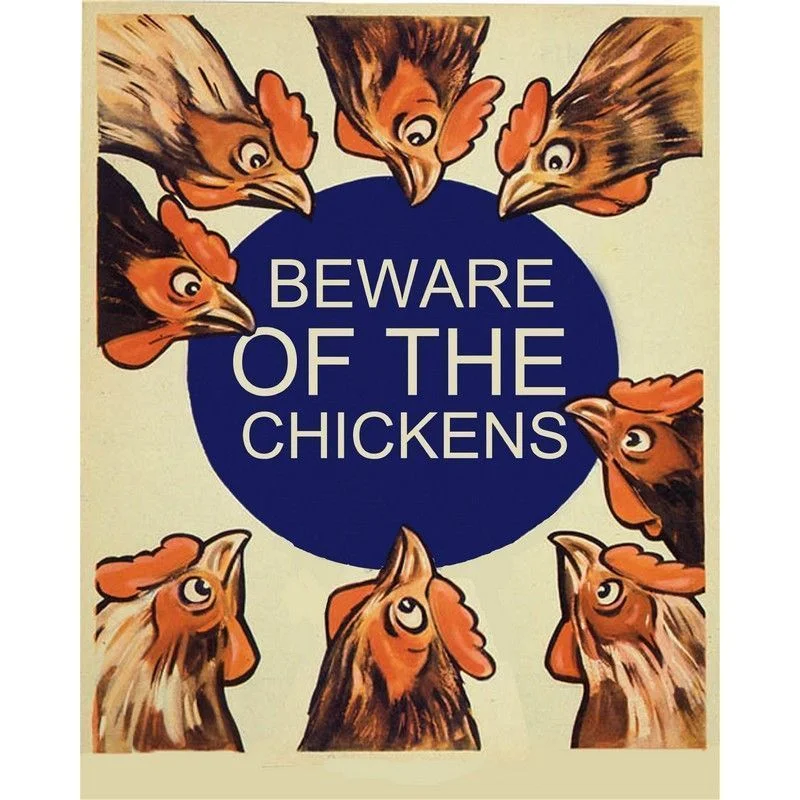 - Winter dog thick down jacketVintage Beware Of The Chickens Sign Metal Wall Mounted - 40cm