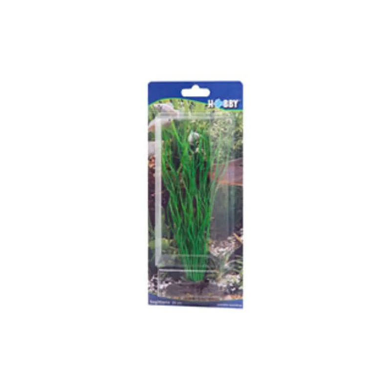 - Teething and chewing toys for puppiesArtificial plant - Sagittaria